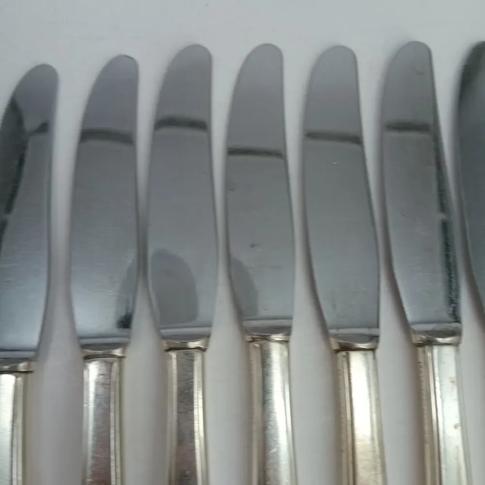 8X BK 1847 Rogers Bros IS International Silver Plate Lovelace Butter Knives